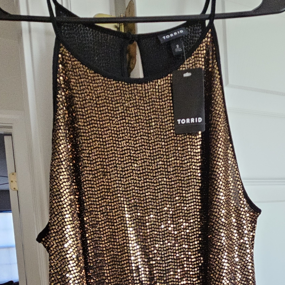 Glitter sequin top torrid